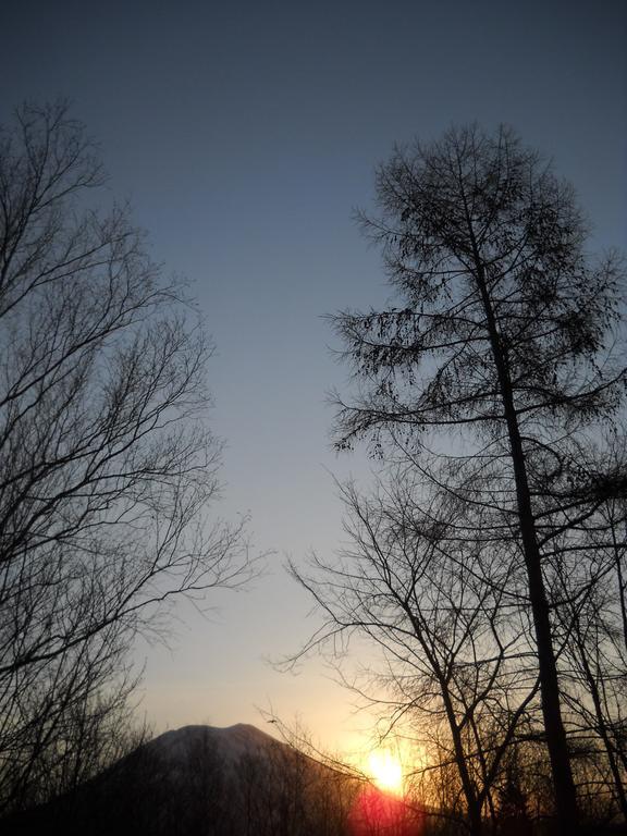 Niseko Shirokuma Cottage Exterior photo